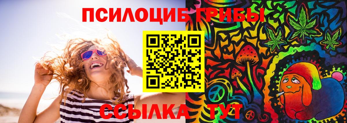 где купить наркоту  Галлюциногенные грибы мухоморы  Вход с VPN  Псилоцибиновые грибы Cubensis  Биробиджан 